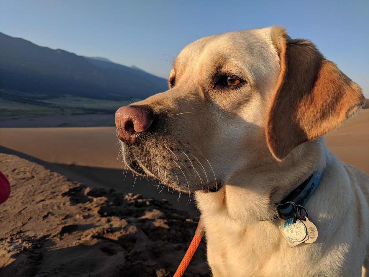 Jasper